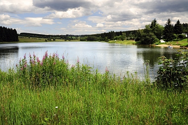 Pixhaier Teich (2) Buntenbock Oberharzer Wasserwirtschaft Bilder